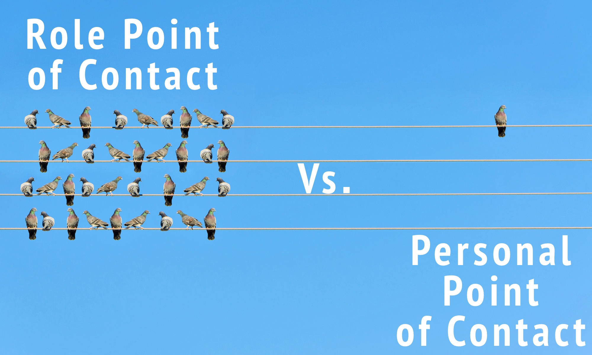 How A Role Point Of Contact Can Help You Better Manage Your ARIN 