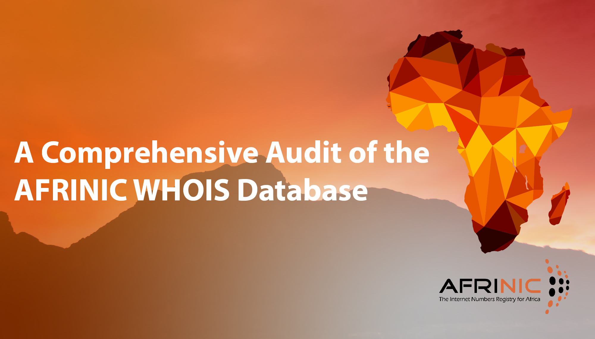 A Comprehensive Audit of the AFRINIC WHOIS Database